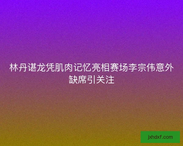林丹谌龙凭肌肉记忆亮相赛场李宗伟意外缺席引关注